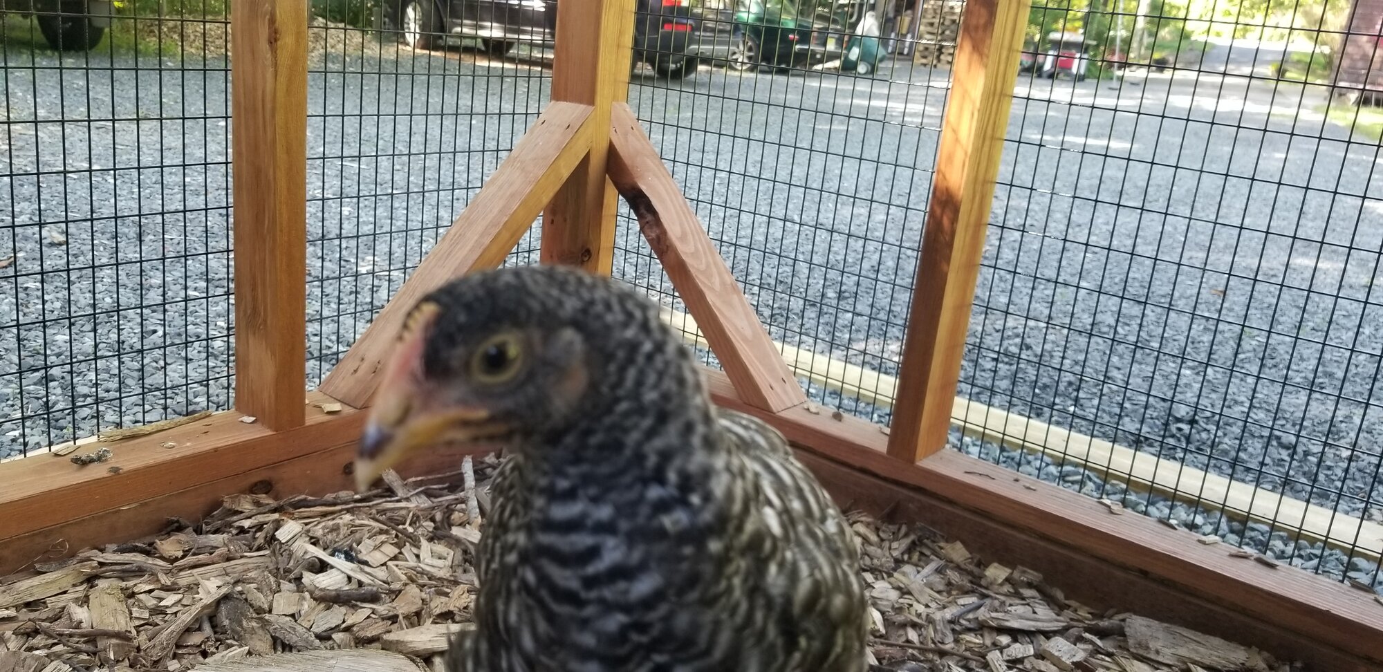 Jacquellen is ready for her closeup
