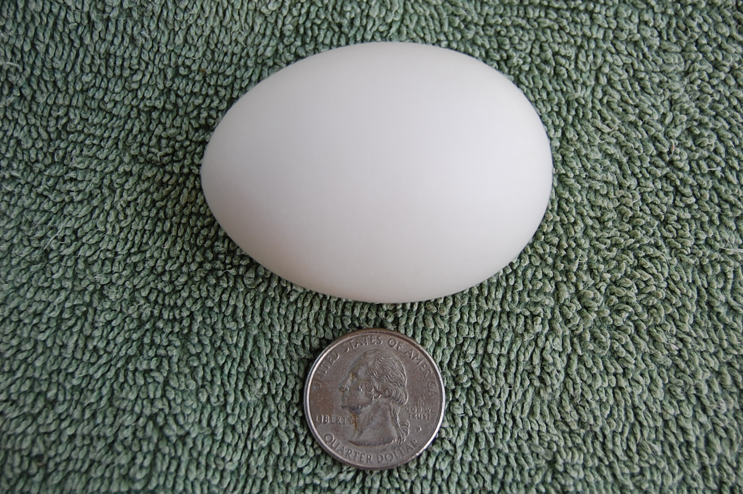 Jaerhon egg