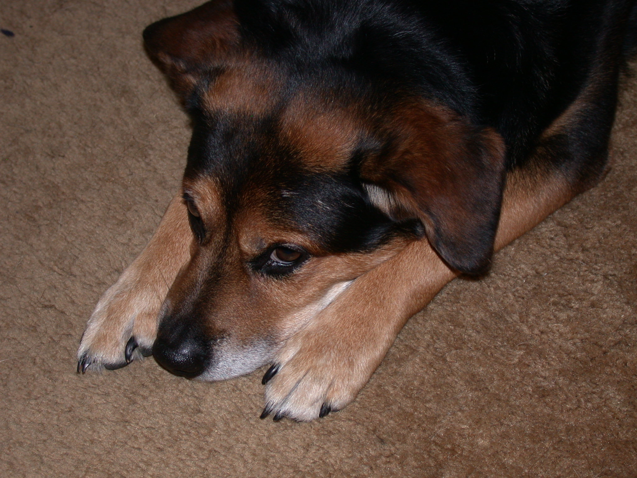 Jake hates to wait for hatching.