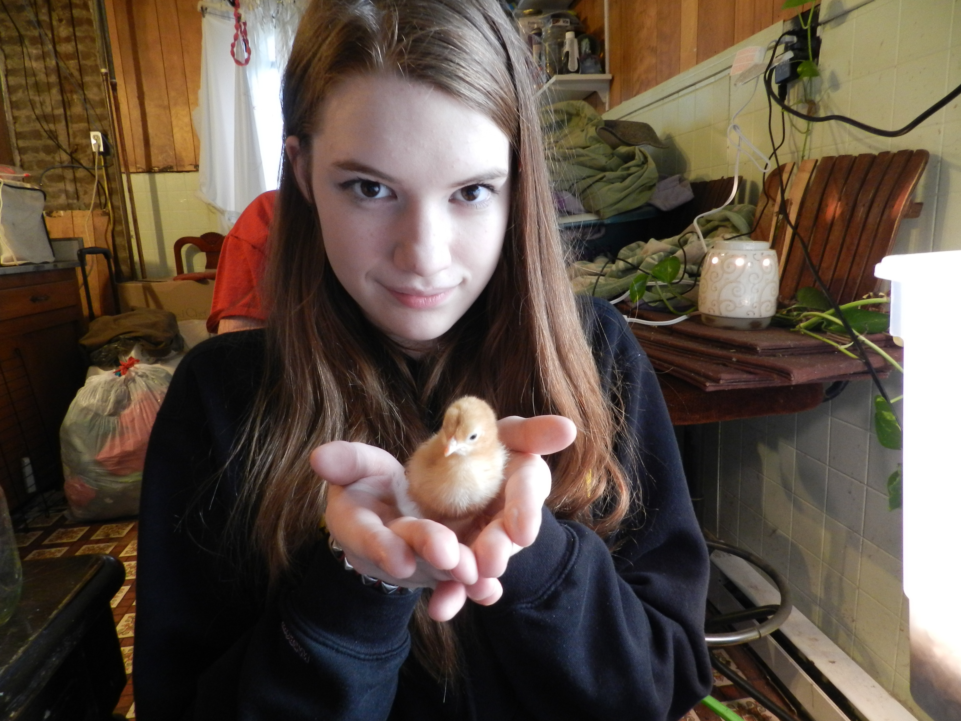 Jasmine and Sherbert