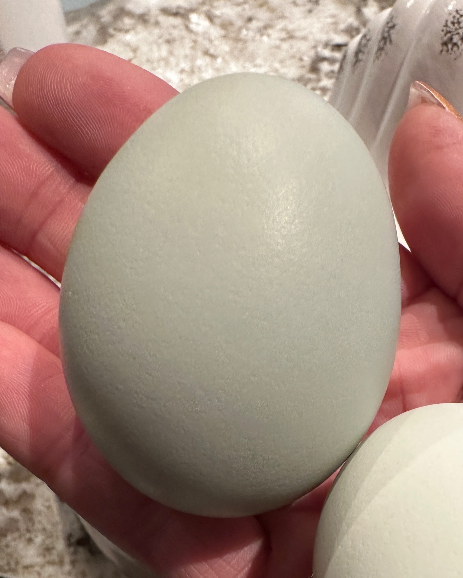 Jemma’s Egg Color