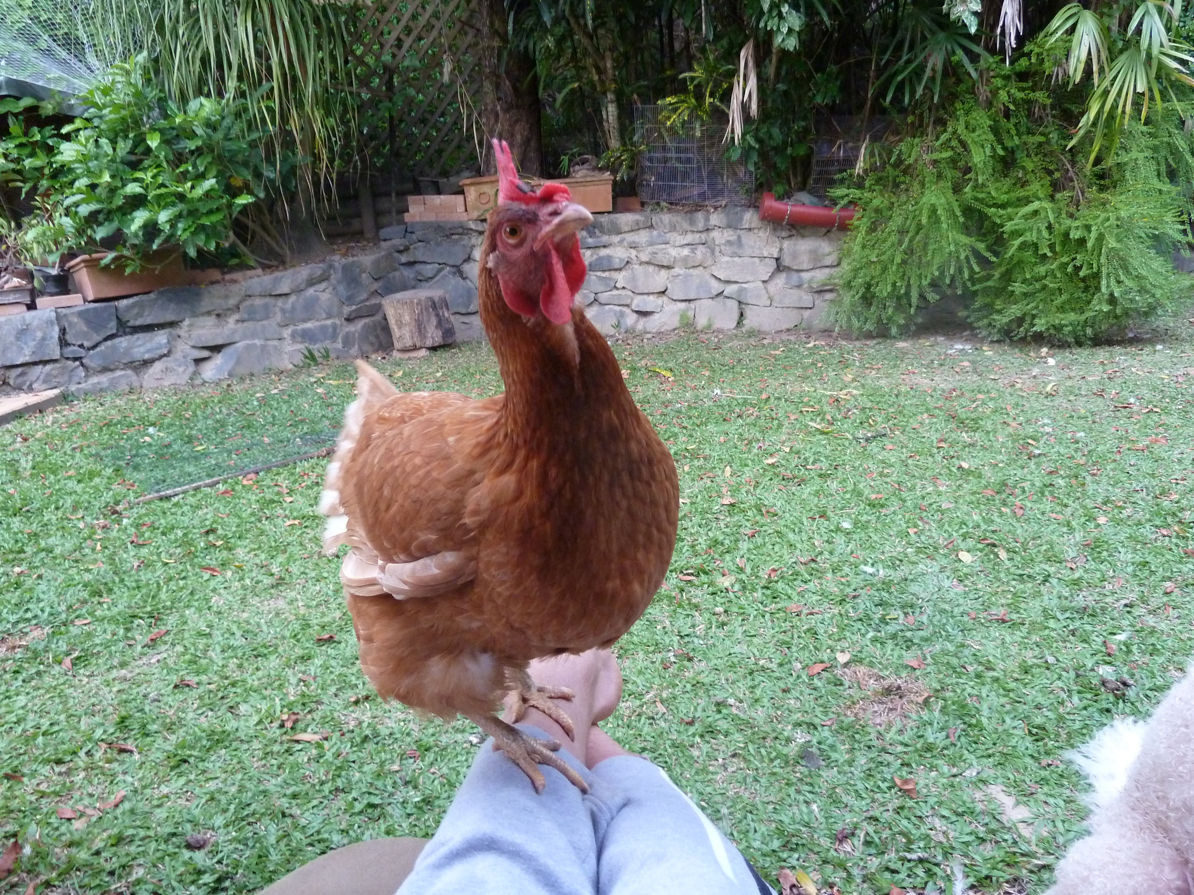 Jen balancing on my legs as I feed her pumpkin seeds.
