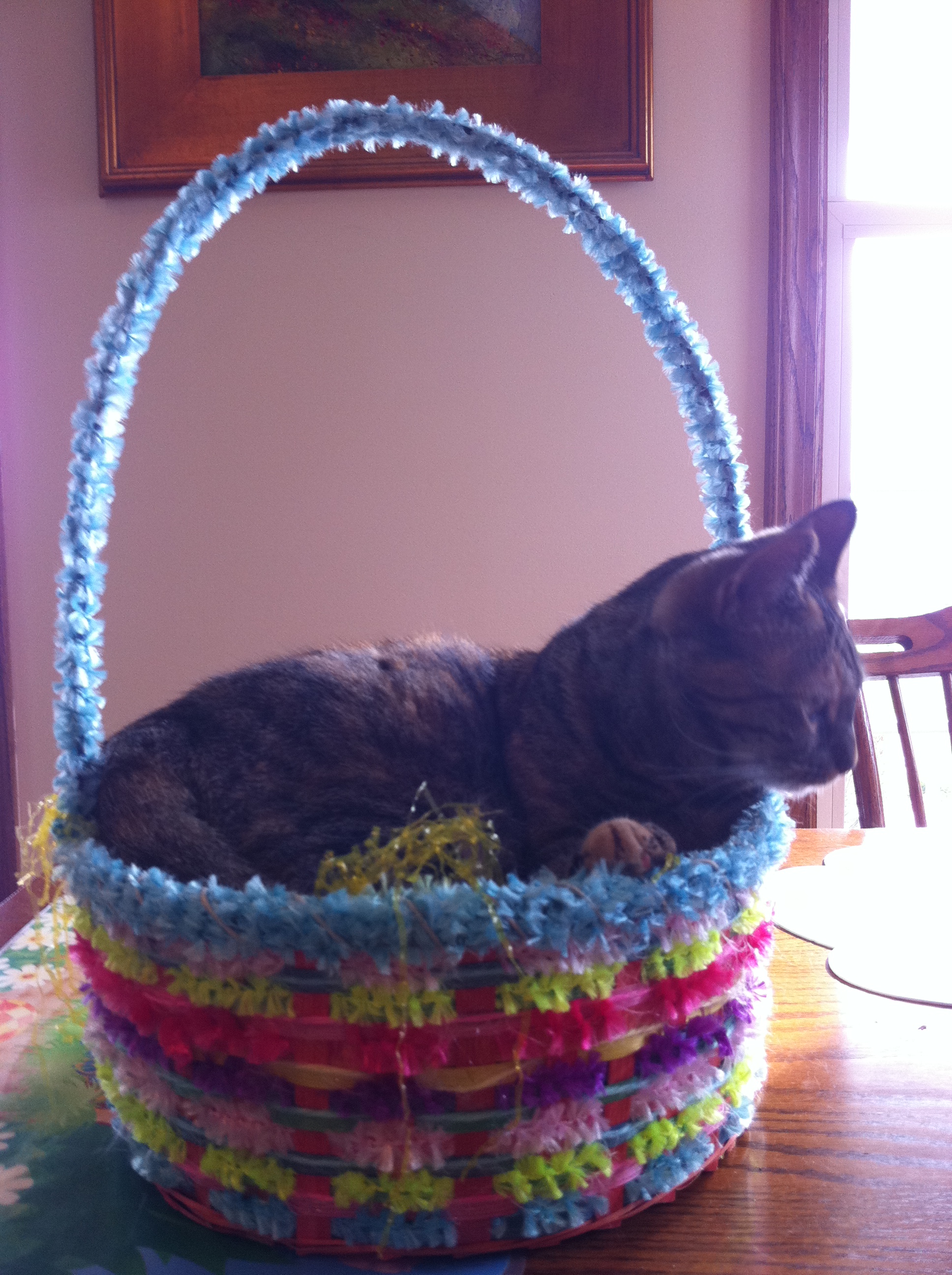 jessie in the easter egg basket
