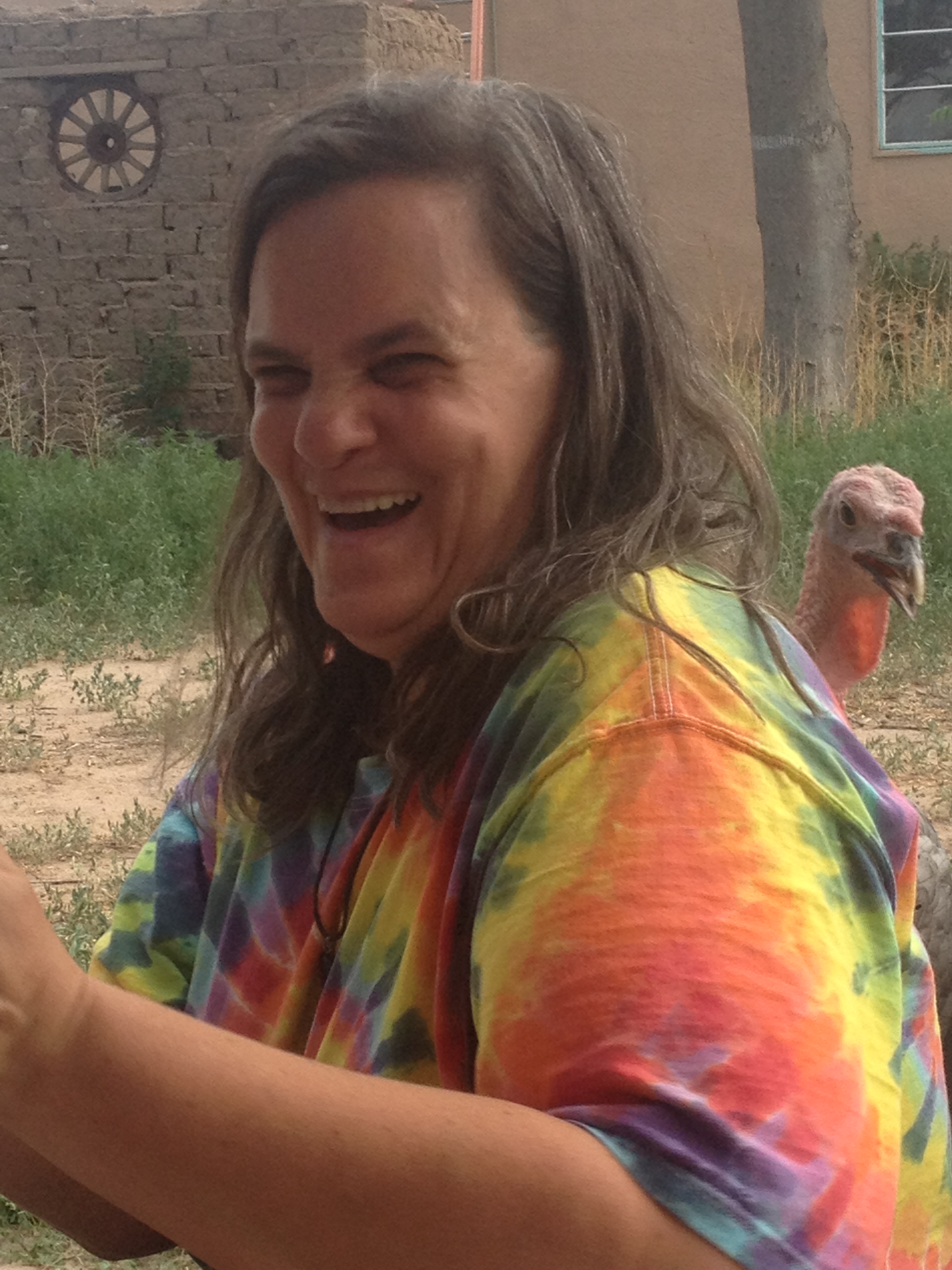 Jive (our turkey) -  " A Chicken, Duck and Turkey walk into a bar "
