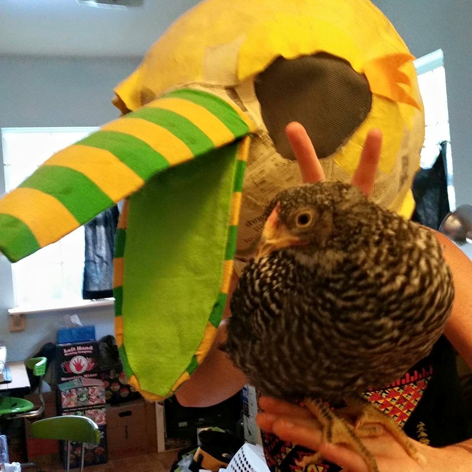 Joan (our Dominique) checking out my friend's bird costume. She loved the costume beak! LOL