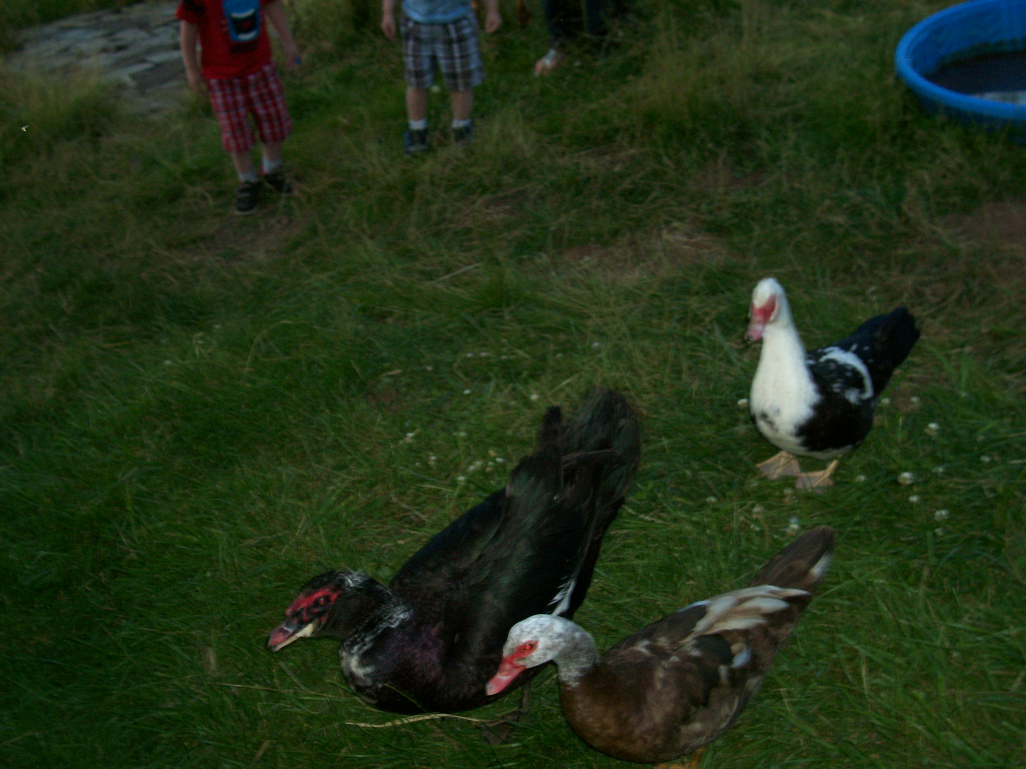Joey, Jacquie and Jeni