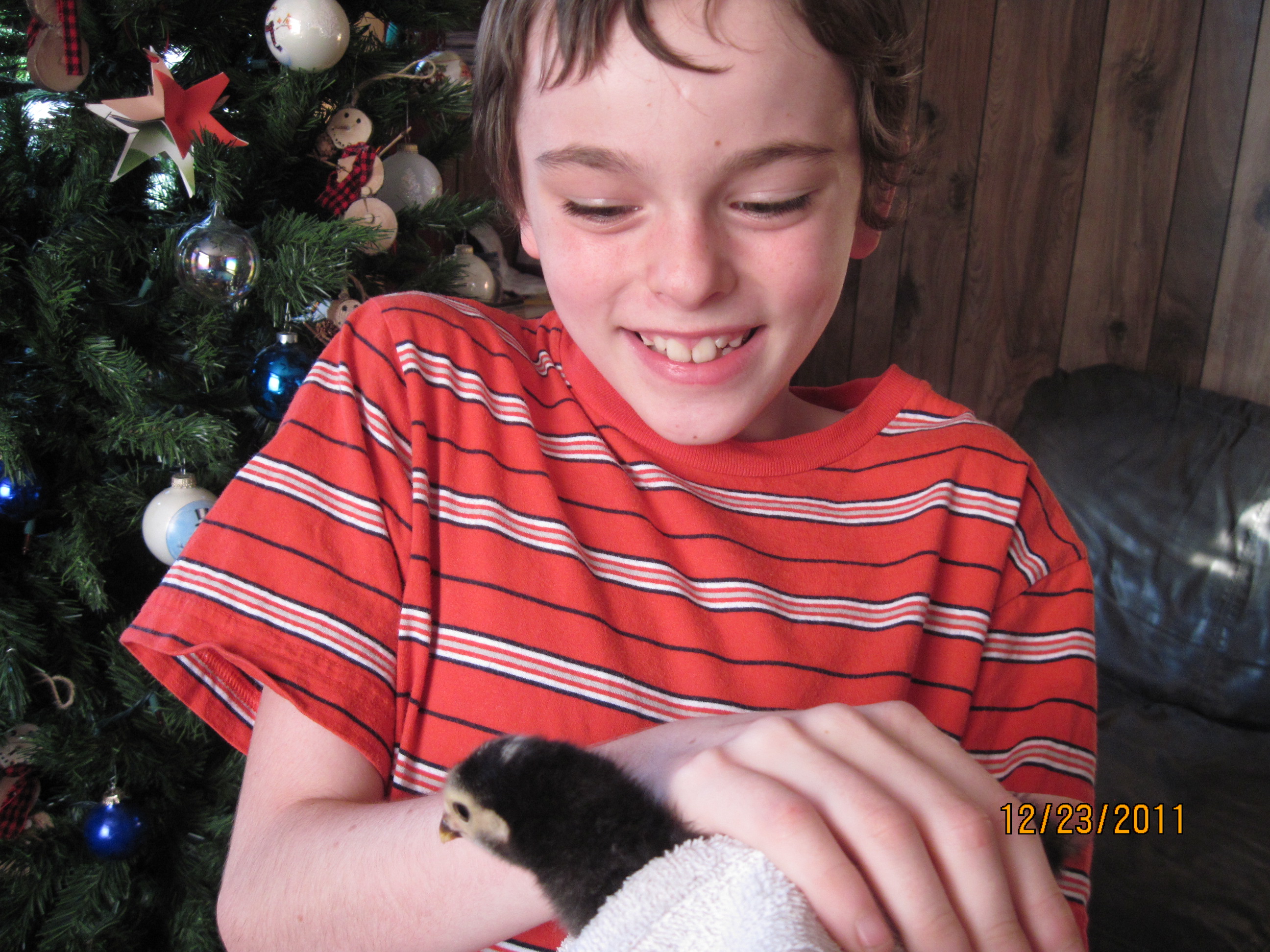 Jordan and Bandit