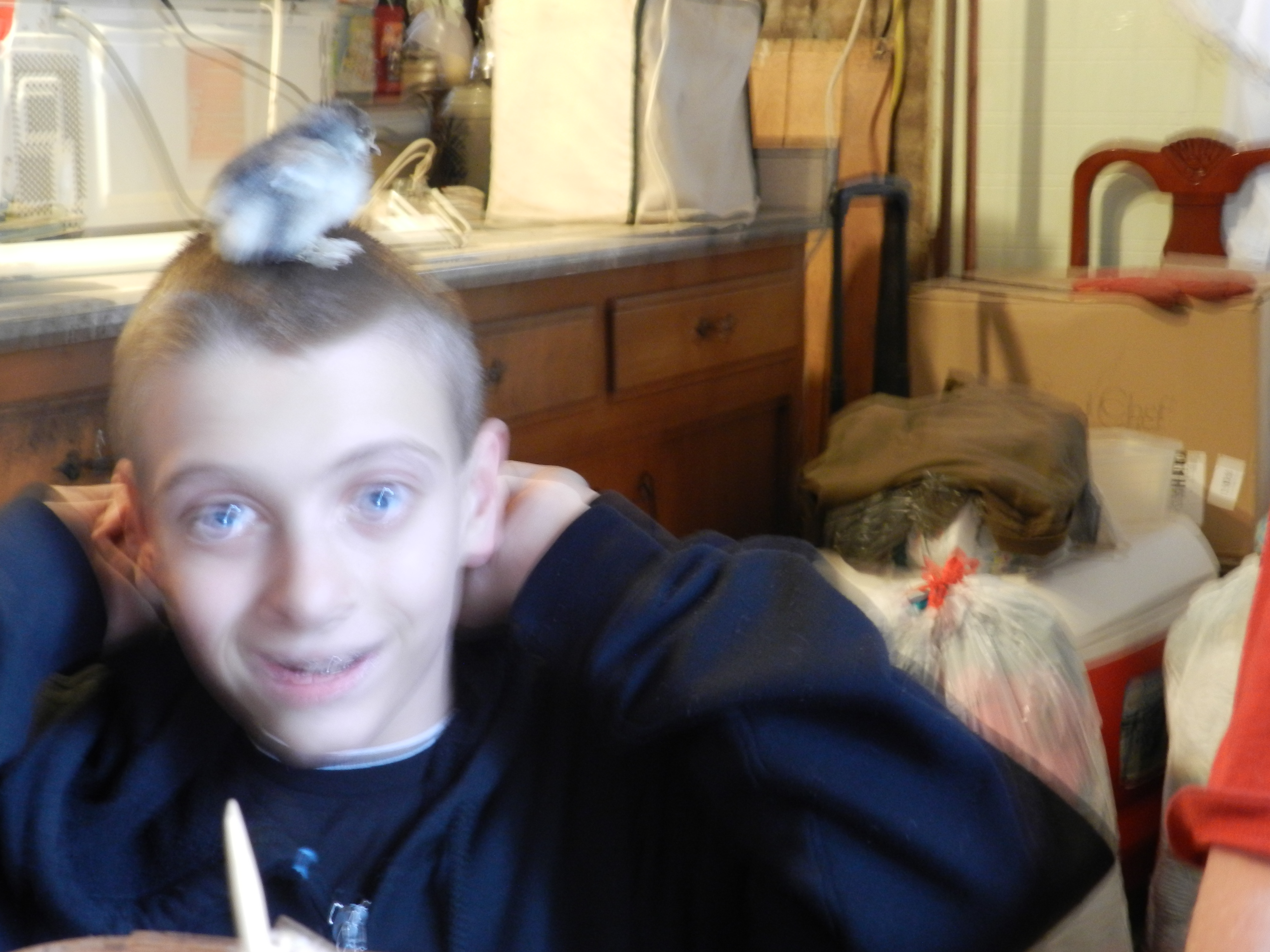 Josh and chicken leg