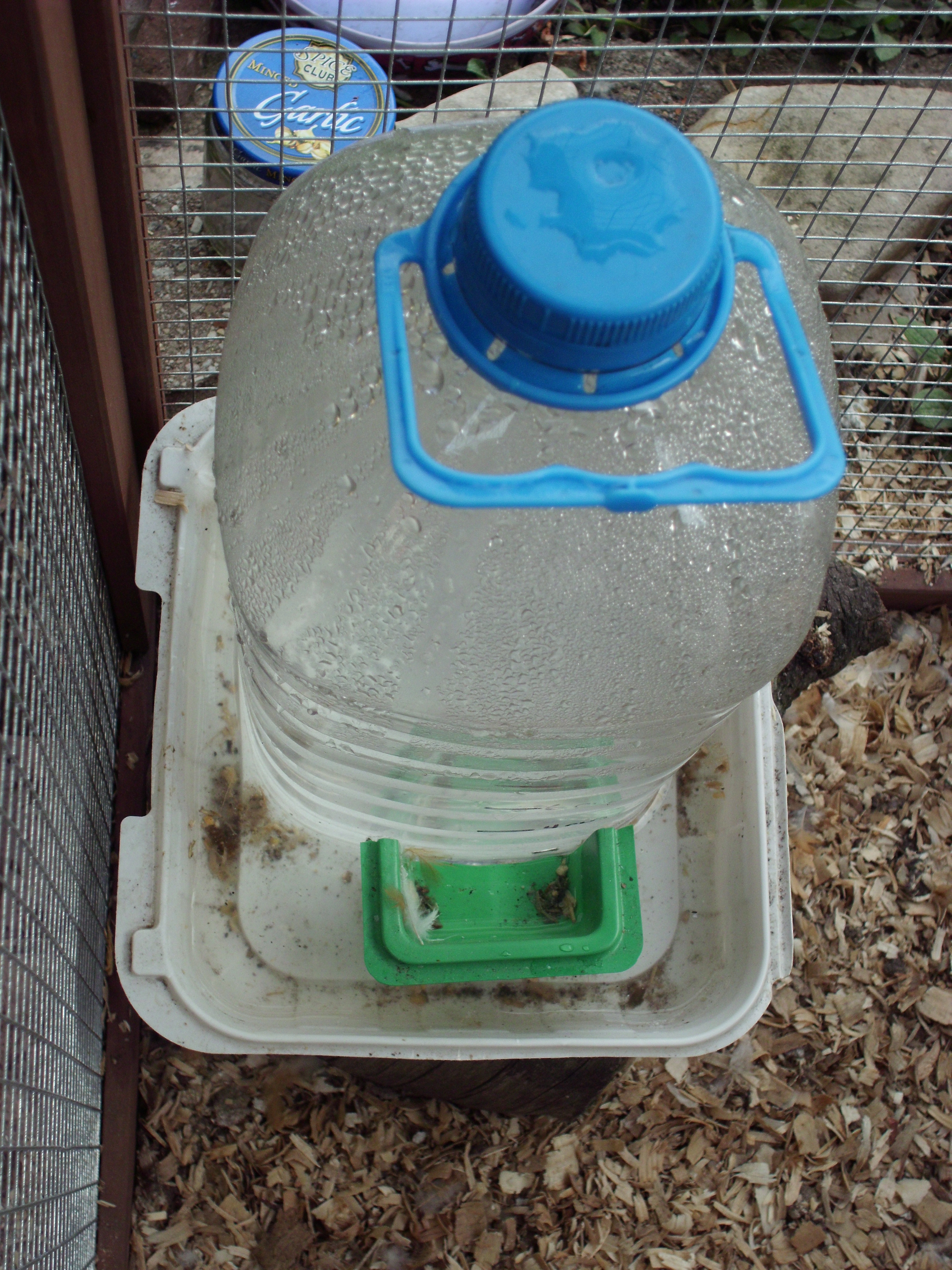 juice bottle waterer. I'm planing on updating this later so it won't get dirty.