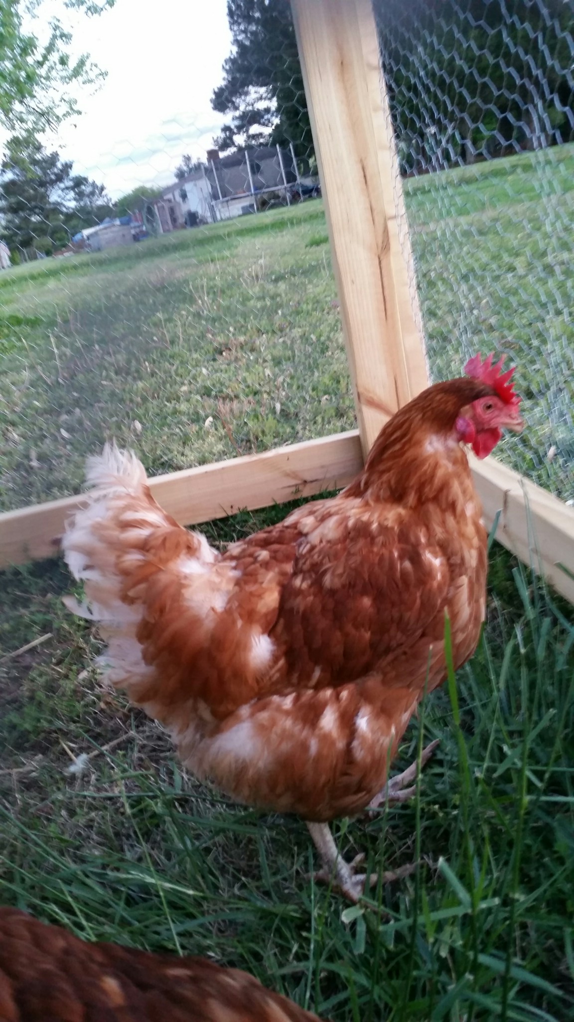 Julian, shes the first to any treat.