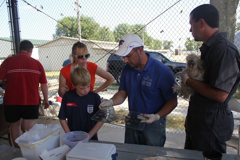 July 1, 2012 --Pullorum/Typhoid testing