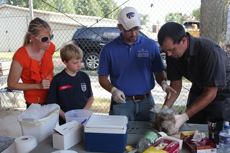 July 1, 2012 ---Pullorum/Typhoid testing