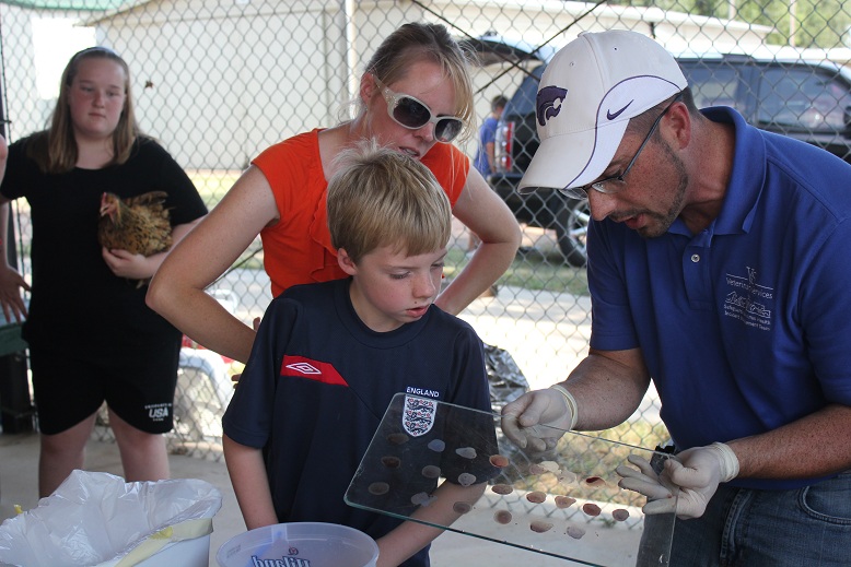 July 1, 2012  --Pullorum/Typhoid testing