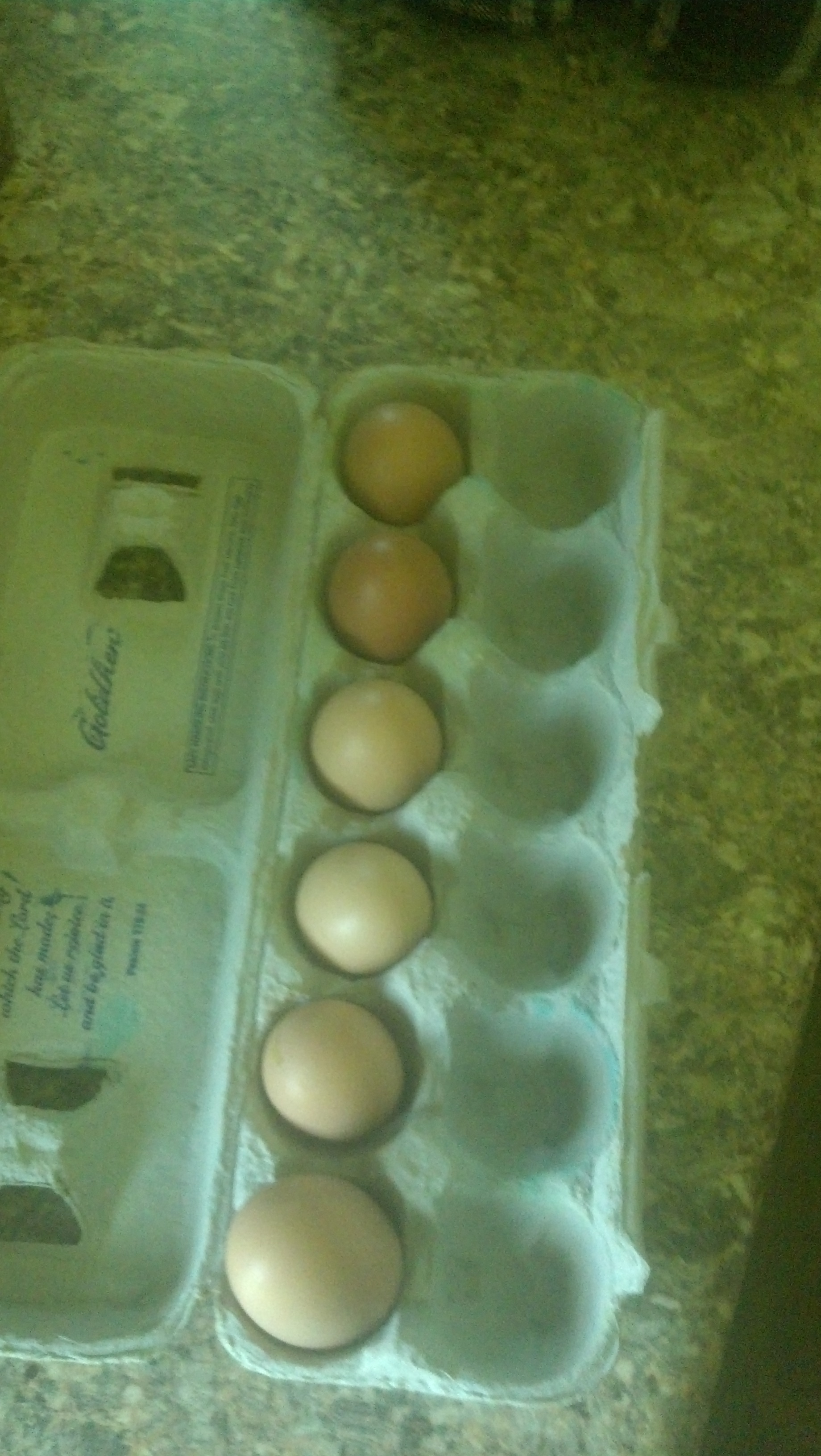 july 4th 2014 our 1st eggs laid by our reds