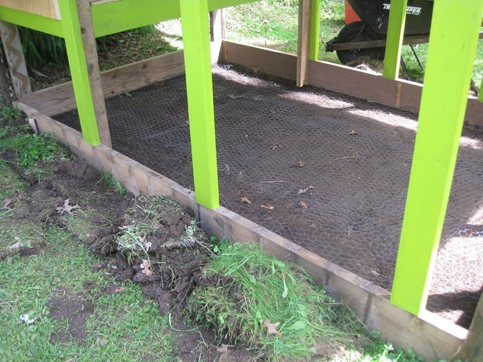 June 1, 2013 - Dug out the sod and lined the whole bottom with chicken wire, stapling it very well to the sides, to keep anything from being able to dig under the bottom. And got some green paint on. I swear it's not that neon! The color is called Lichen.