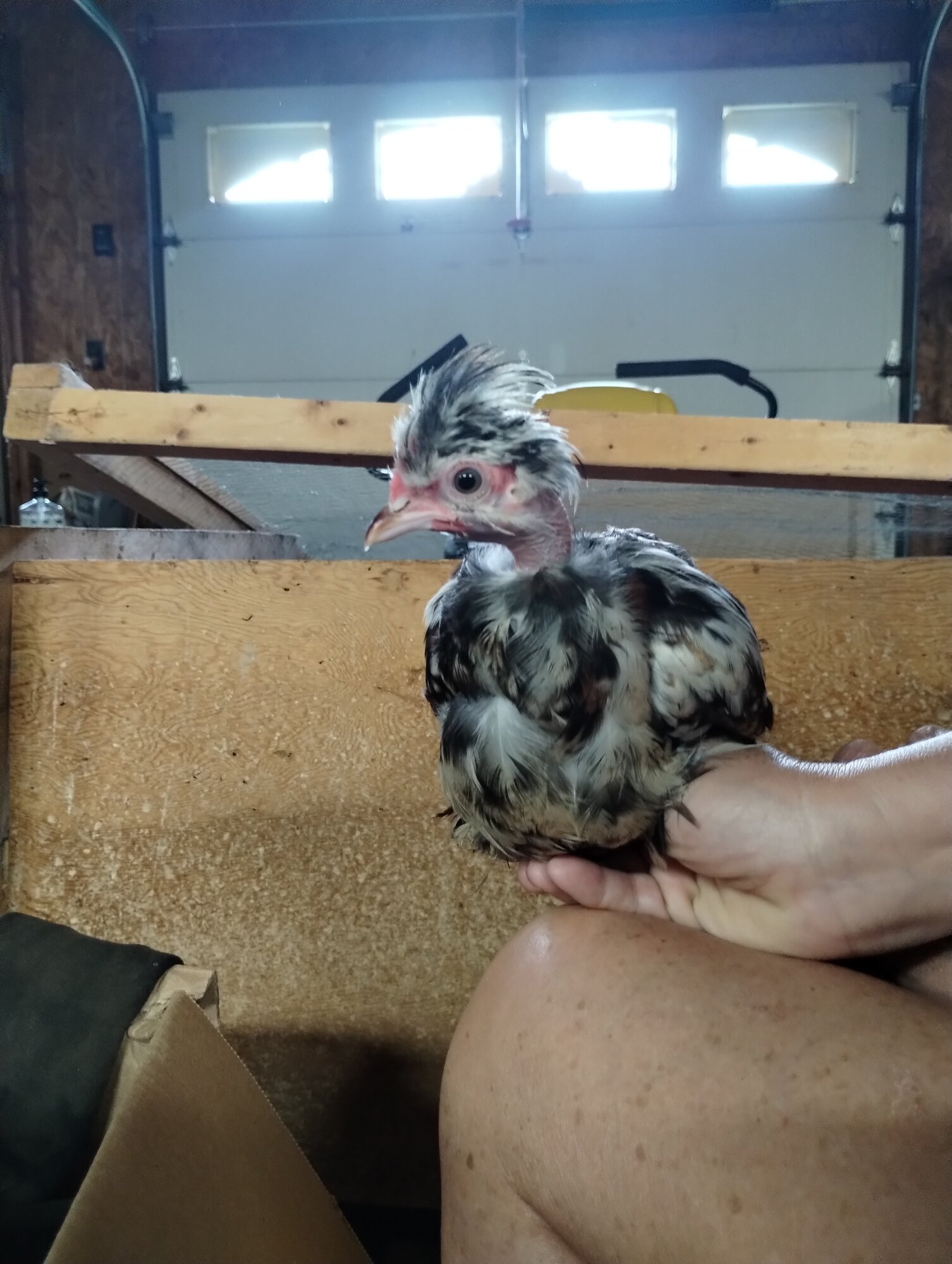 June 19, 2025 - First Two, First Day at New Home