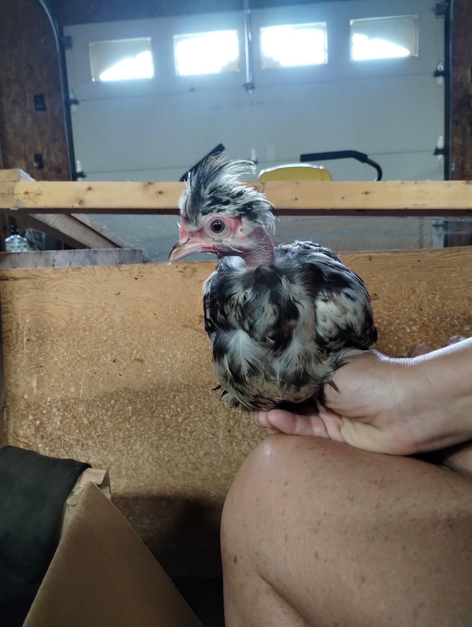 June 19, 2025 - First Two, First Day at New Home