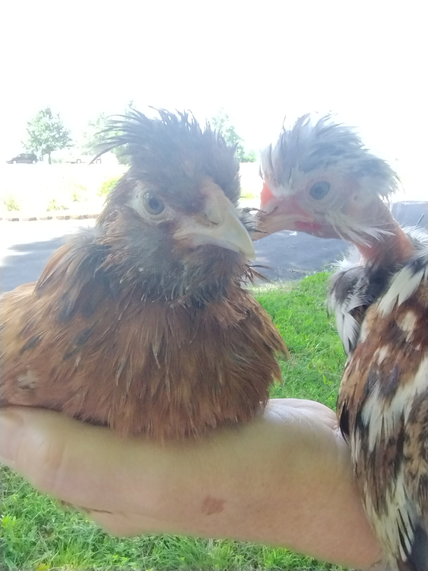 June 19, 2025 - First Two, First Day at New Home