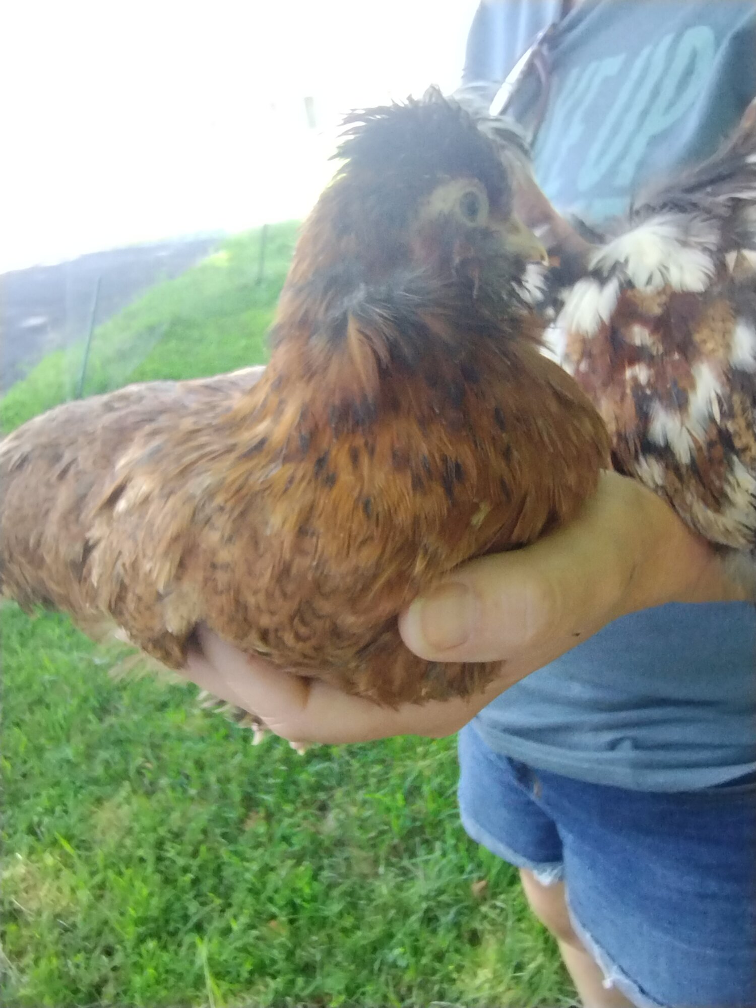 June 19, 2025 - First Two, First Day at New Home