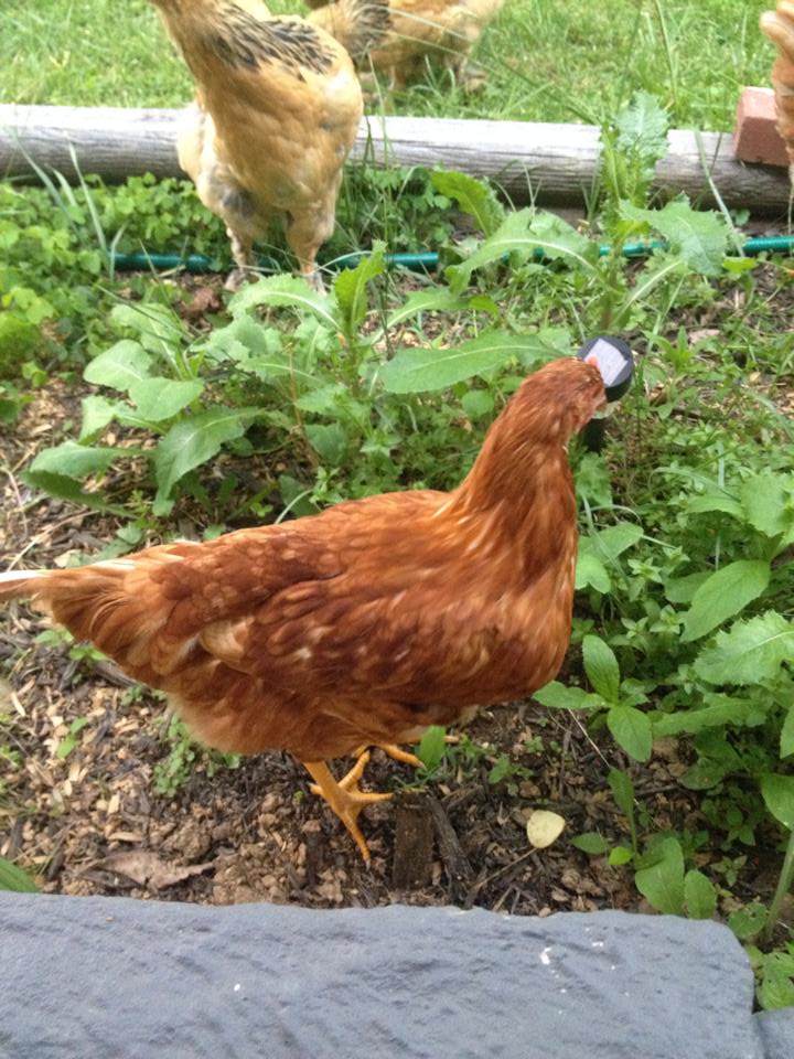 June is a little camera shy