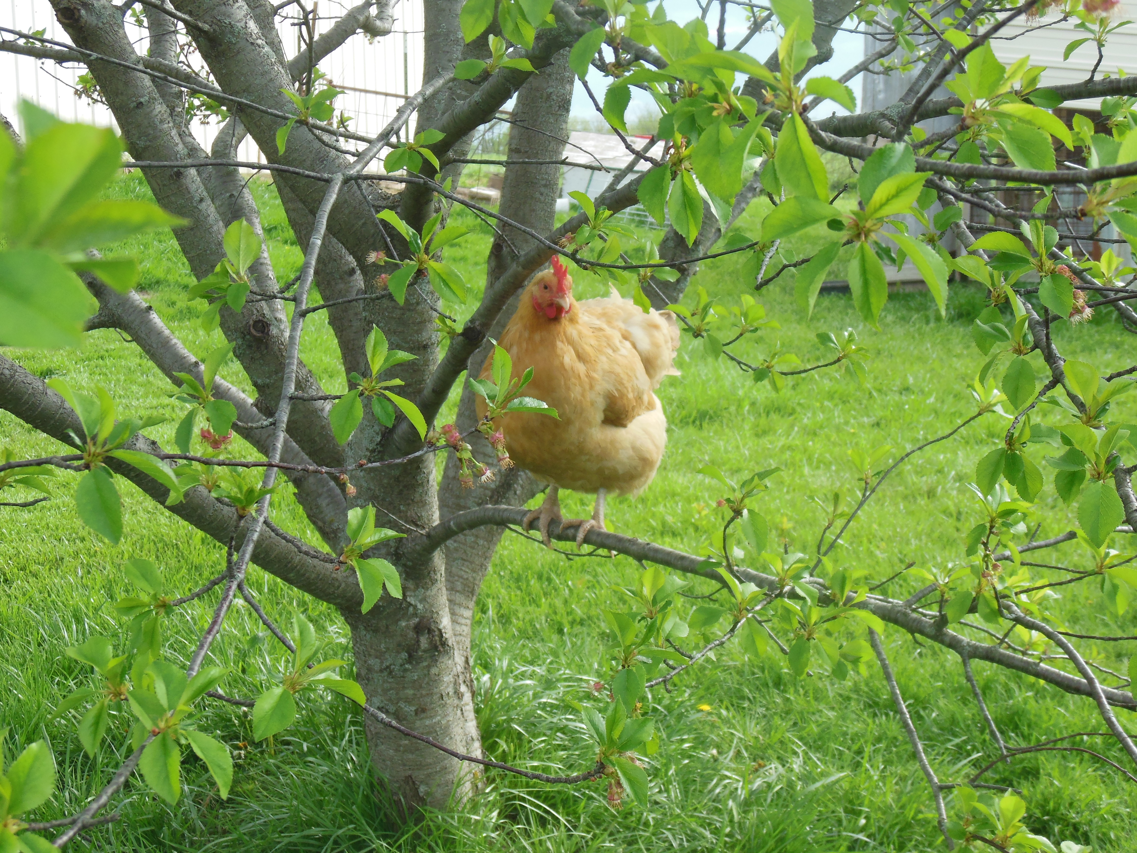 June why are you in the tree haha :)