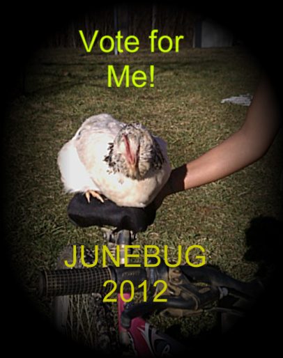 Junebug