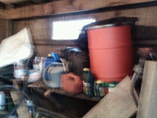Junk, Junk - and organize overhead storage to hold more. Lot's of odds and ends to refurbish coop.