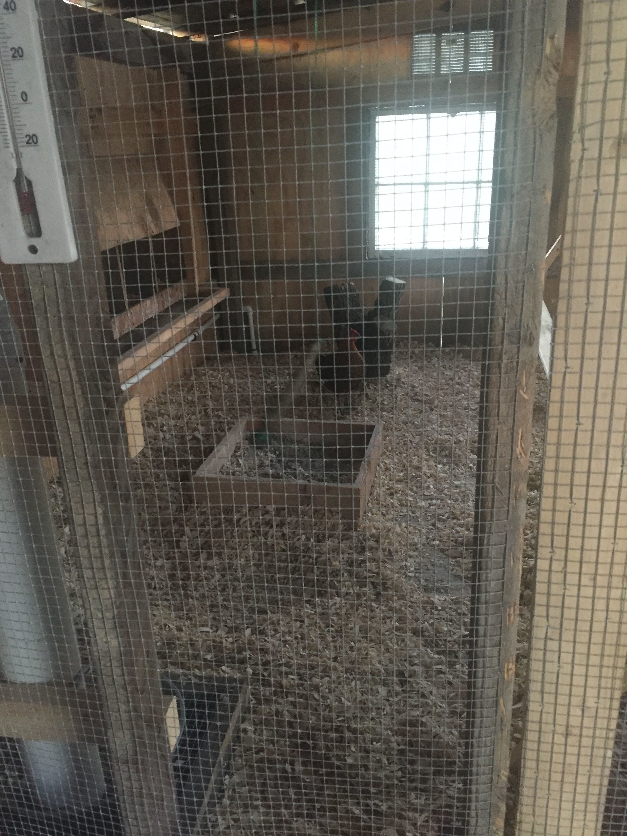 Just a peek through the interior wall.