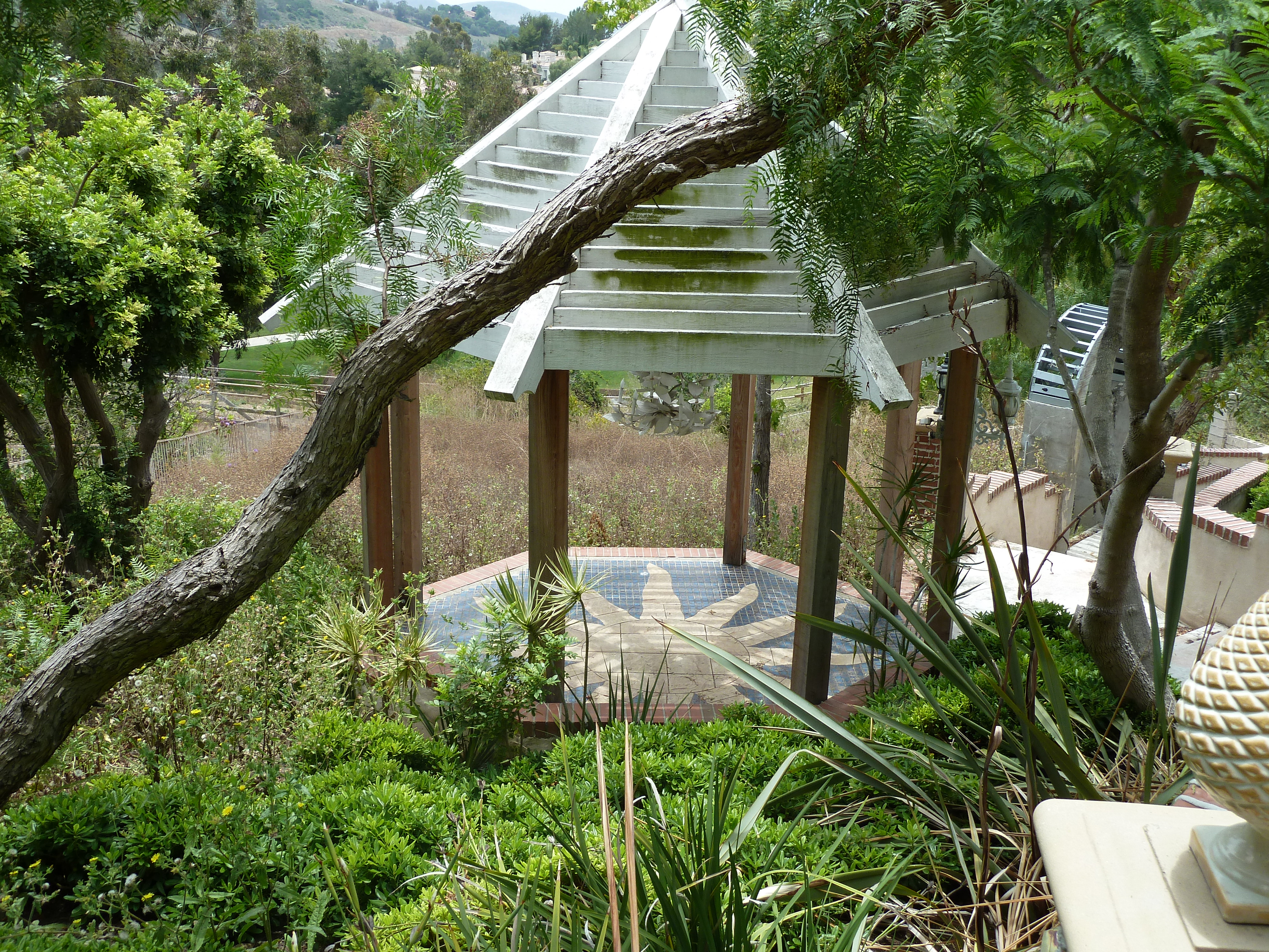 Just bought a new house and this will be my future chicken coop!