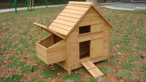Just bought my new coop for the backyard. Hoping to house 3-4 chickens, and build an attached run. And of course paint it so the ladies have a fashionable place to stay.