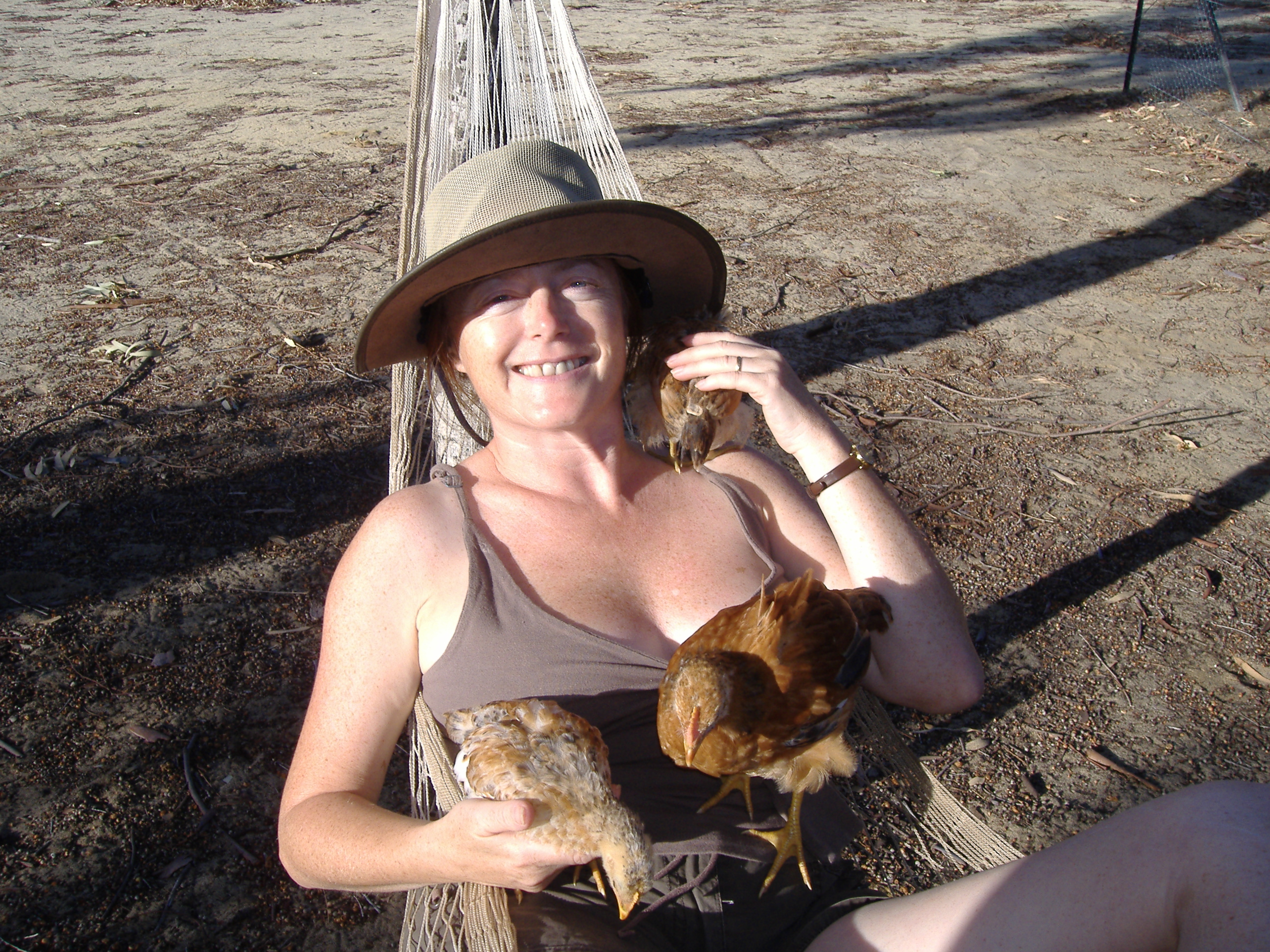 Just chillin' with the chooks