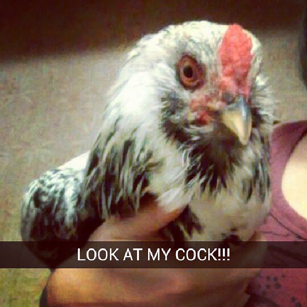just look at it