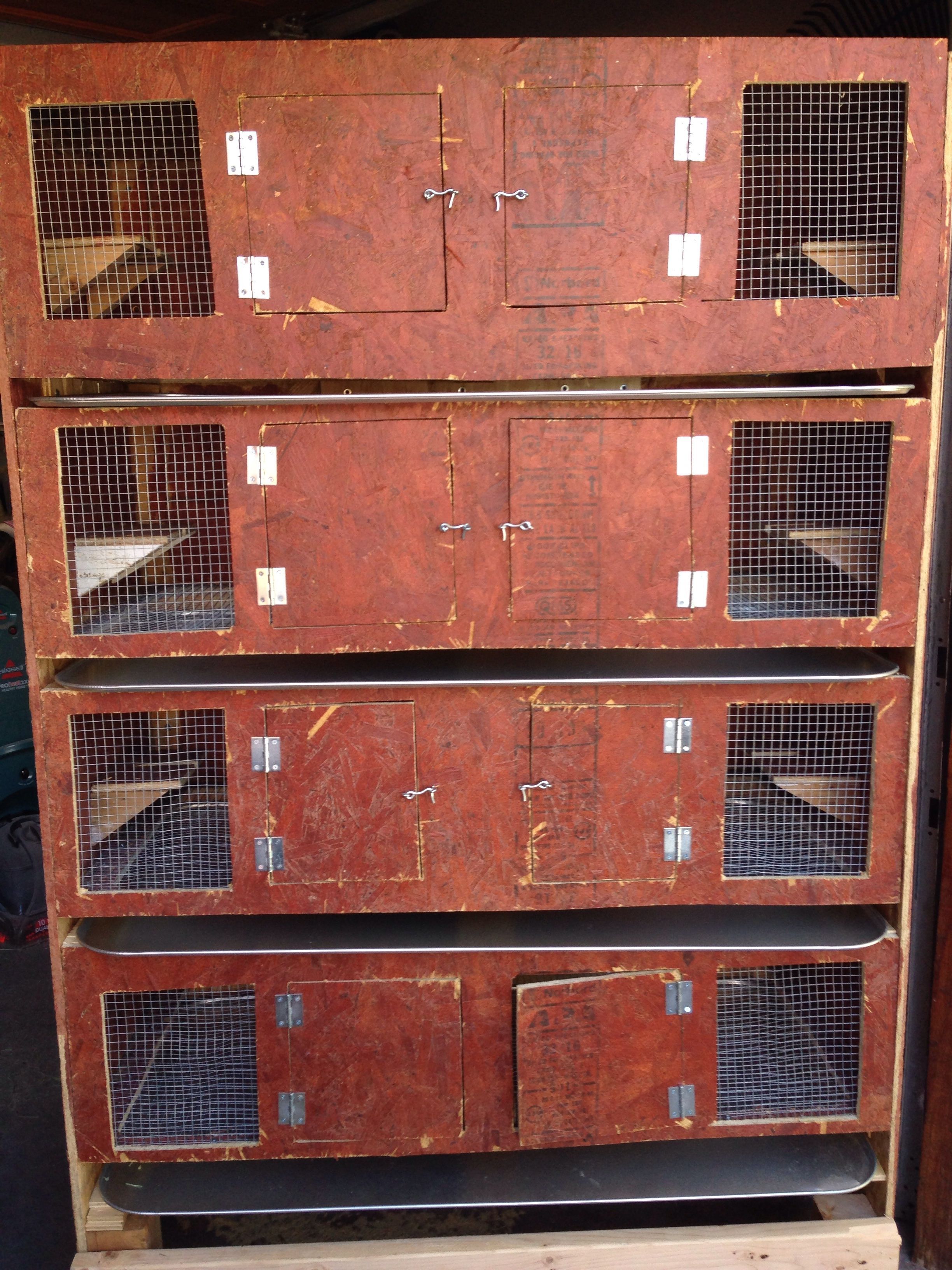 Just needs 2 more hinges at the bottom doors & we're ready to transfer our 4-week-oldTexas A&Ms