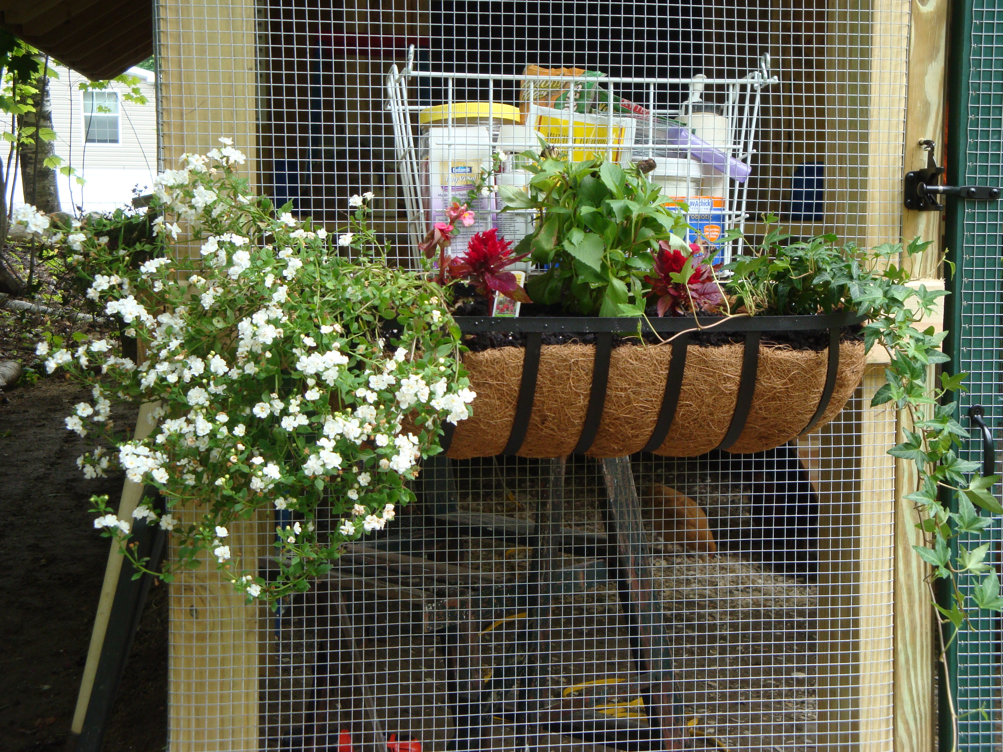 Just some pretties for my pretties home.