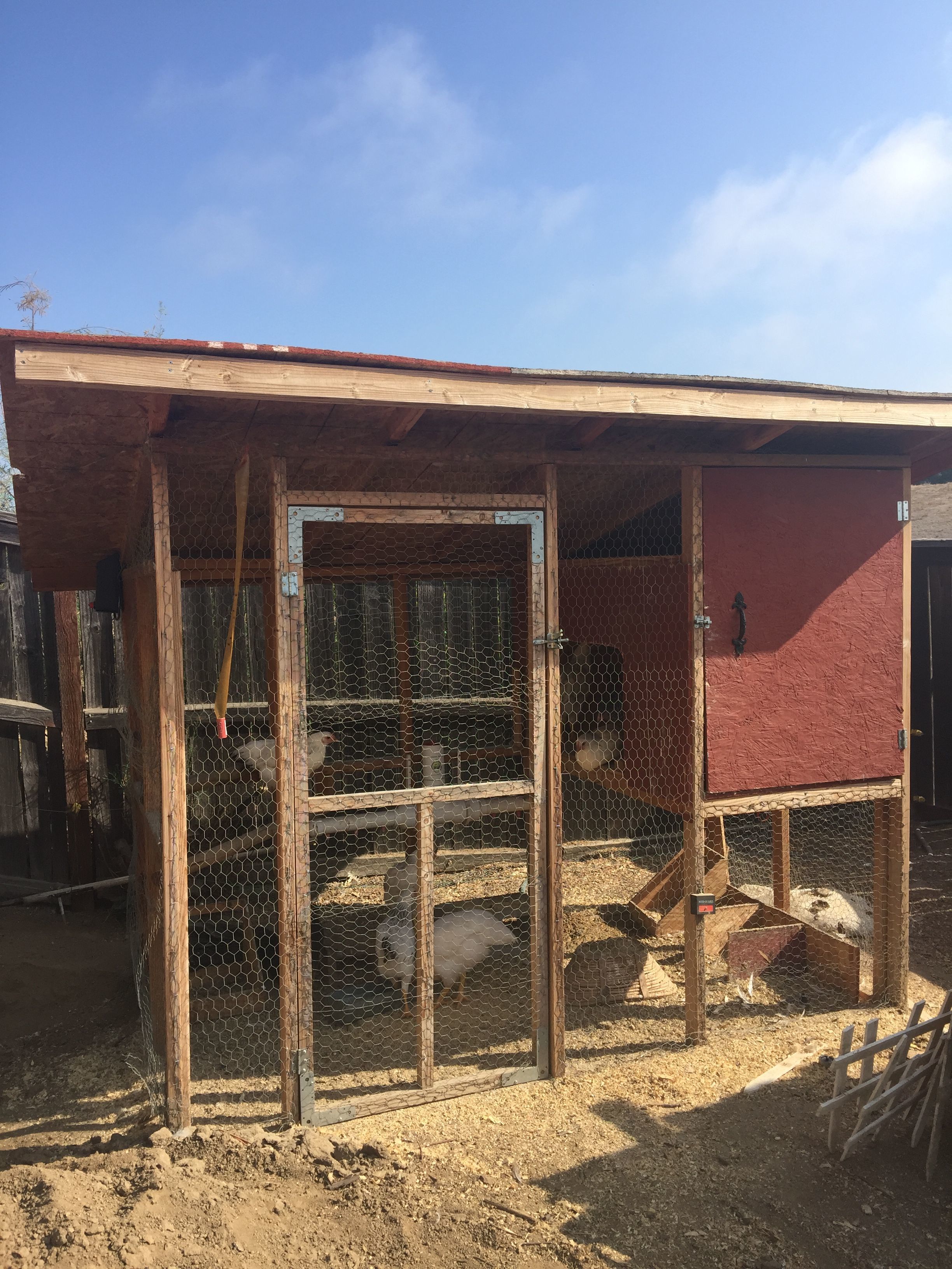 Juvenile Pen. This is a coop I got for free from a friend of a friend. The top is enclosed with a fully covered run which gives them access to the dirt. We put chicken wire under the whole thing a couple inches down to protect from predators.