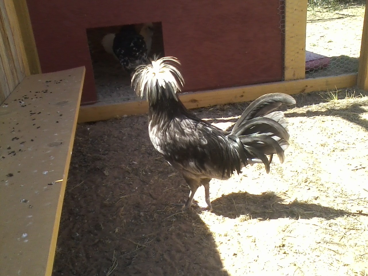 Kasper still won't look at the camera :)