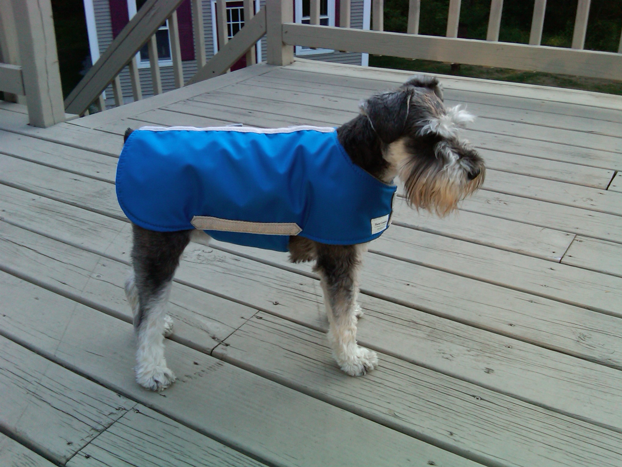 Katie modeling her new winter jacket