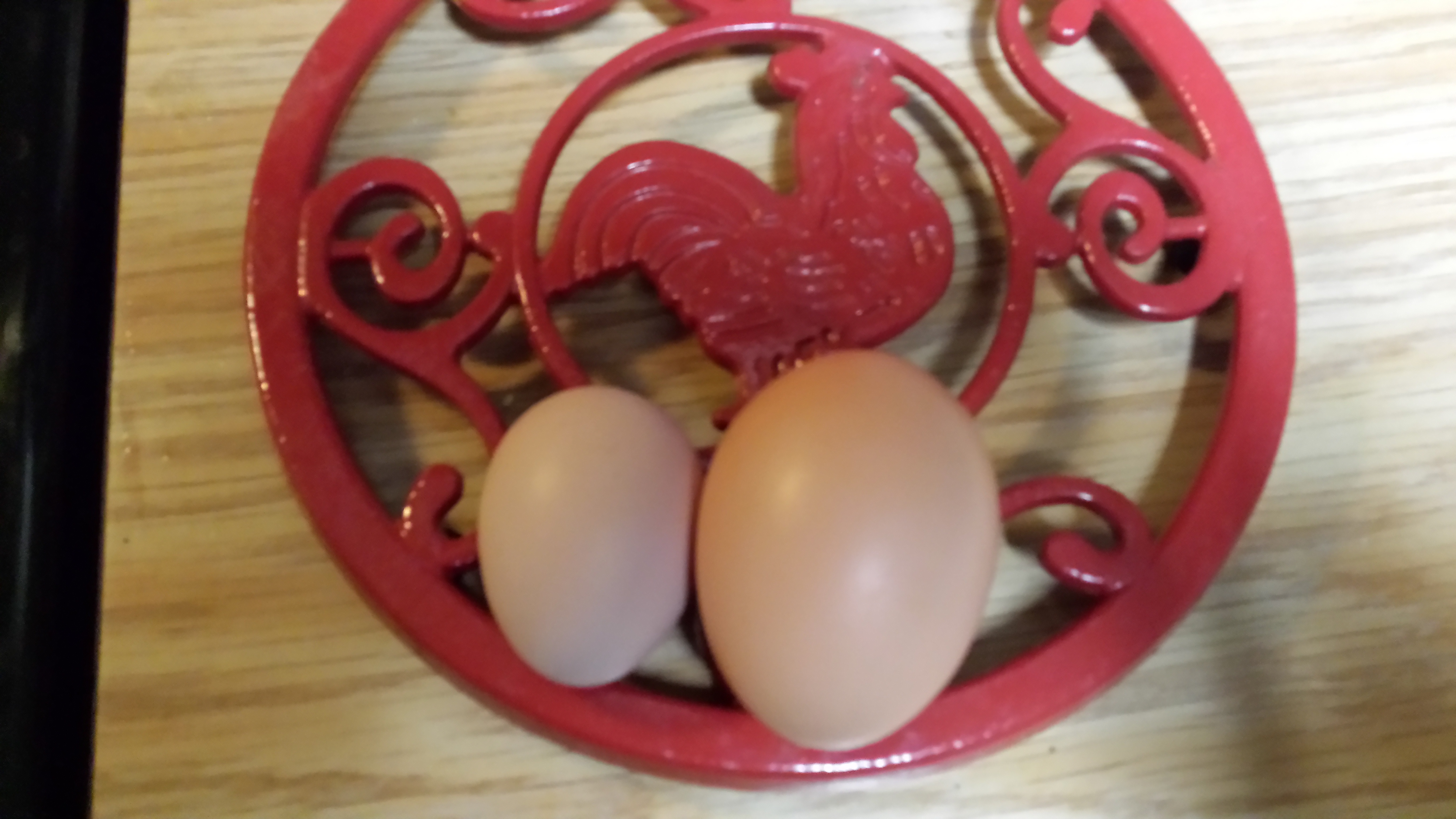 Katies' second egg Feb 8th, 2015