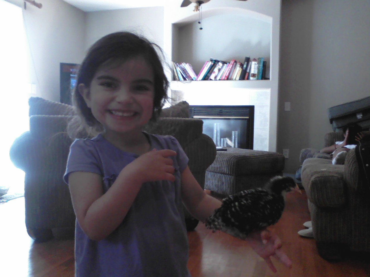 Katniss perched up on Delayna Darling.  I love how fascinated she is by the chicks.