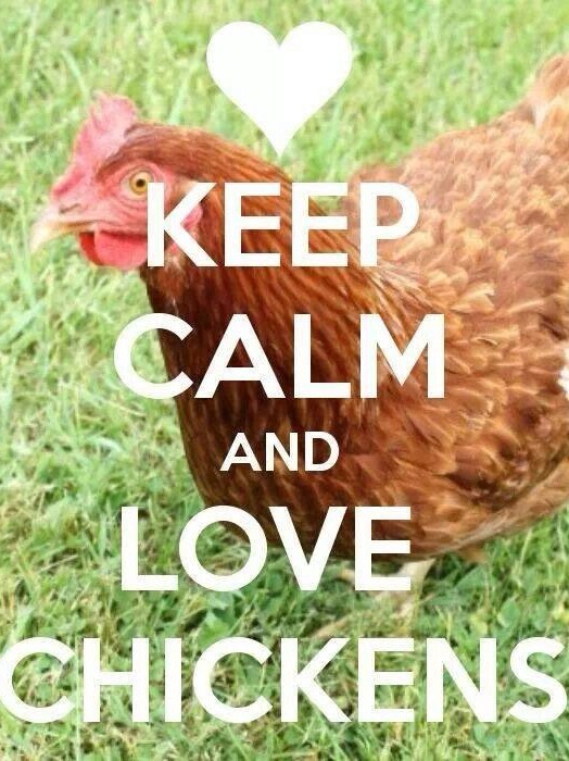 keep calm, and love chickens ;)