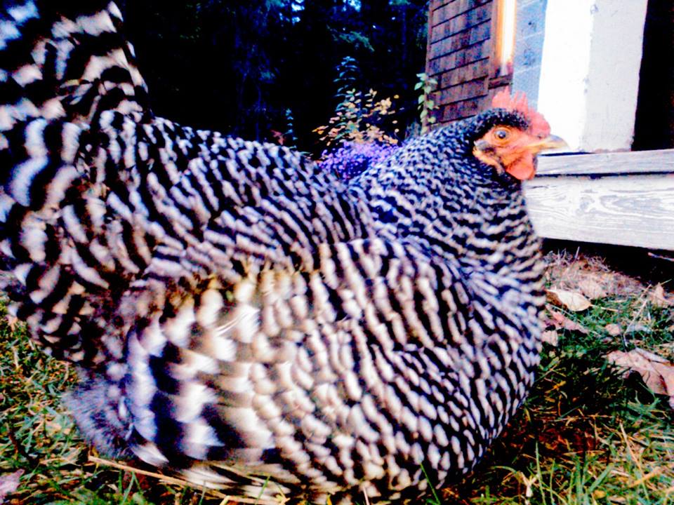 keeping everybody warm!