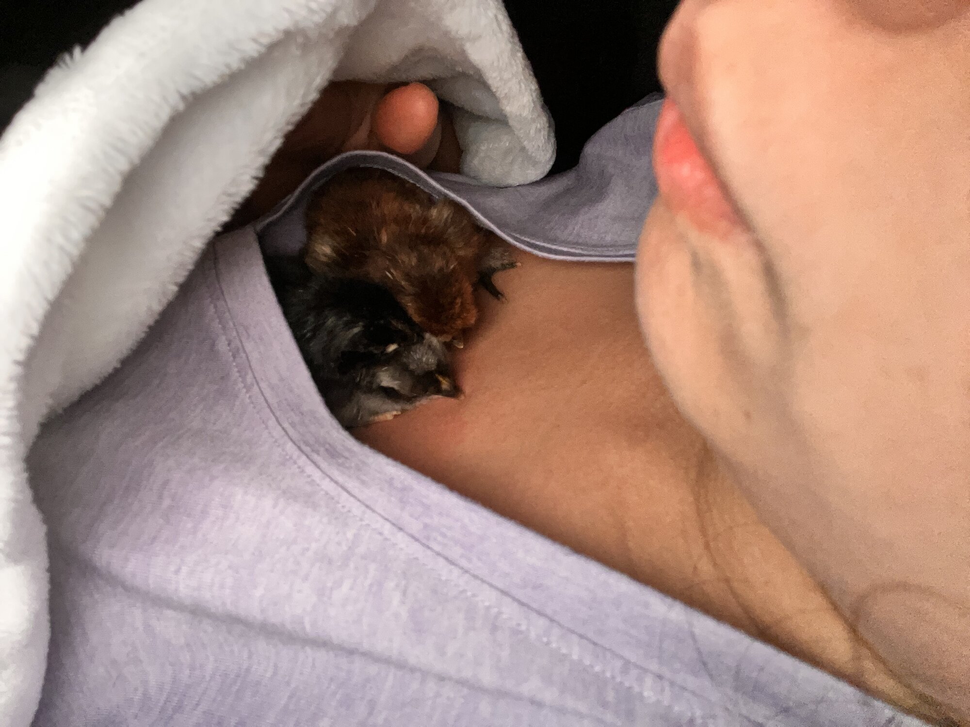 keeping my babies warm during power outage