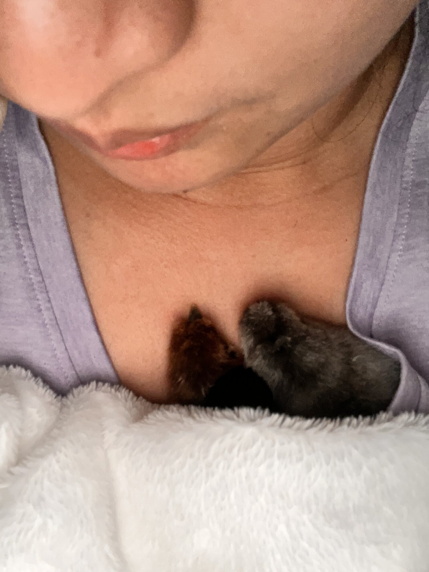 keeping my babies warm during power outage