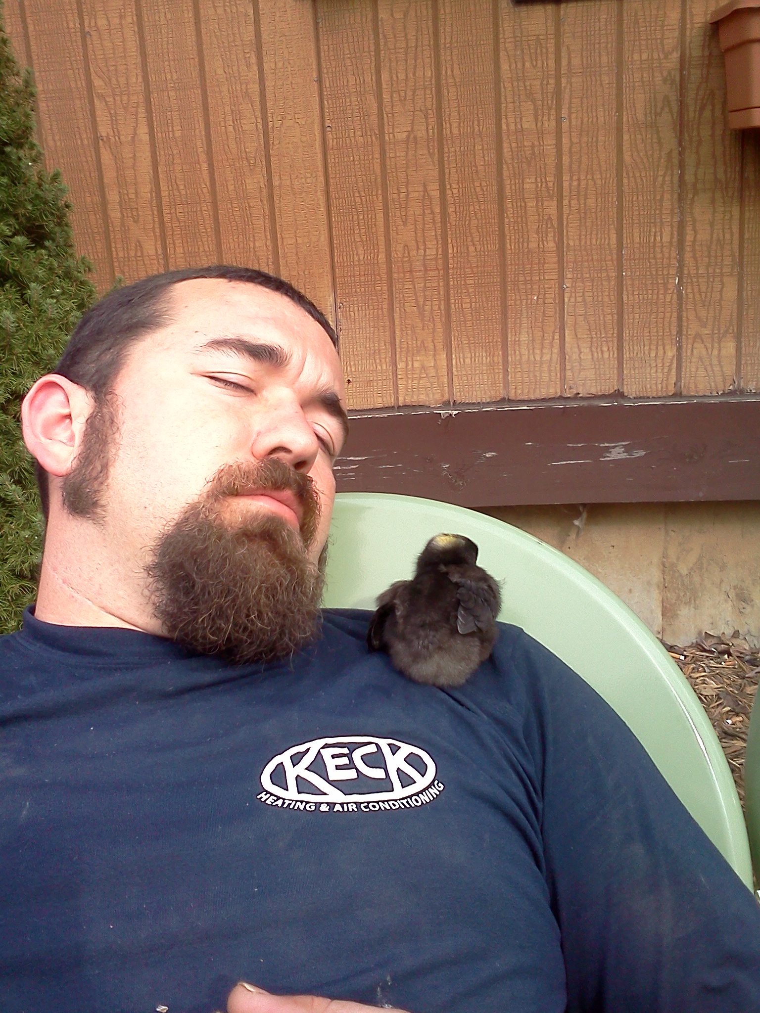 Keith and the rooster were pooped from a hard day's work :)