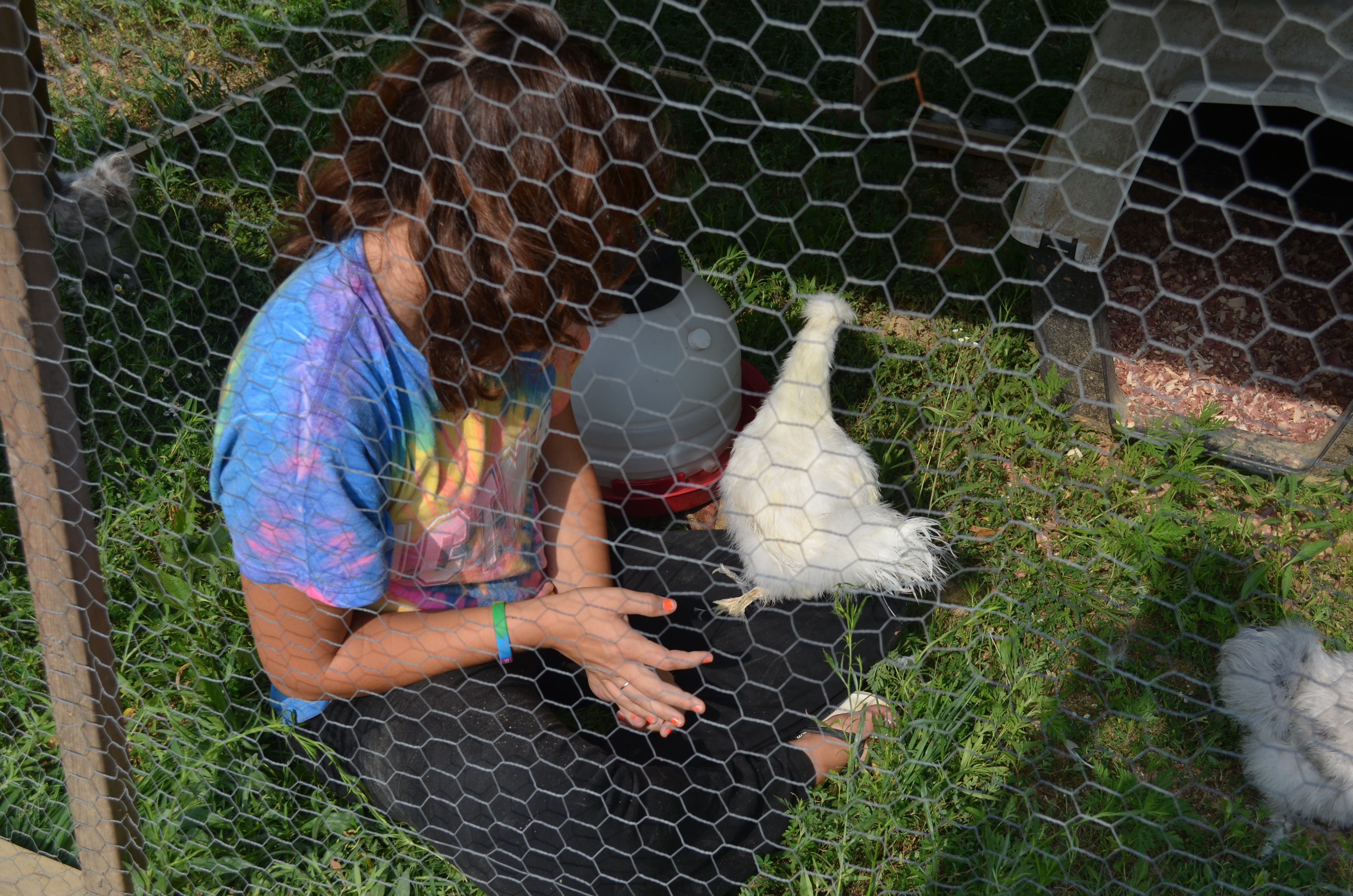 Kido with her babies