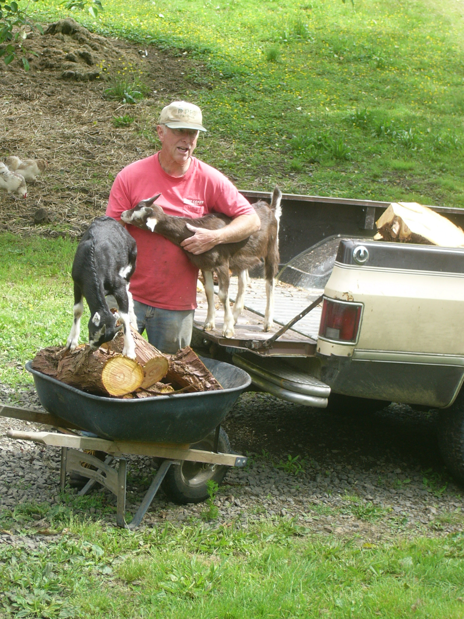 Kind of hard to unload wood with all the extra "helpers"