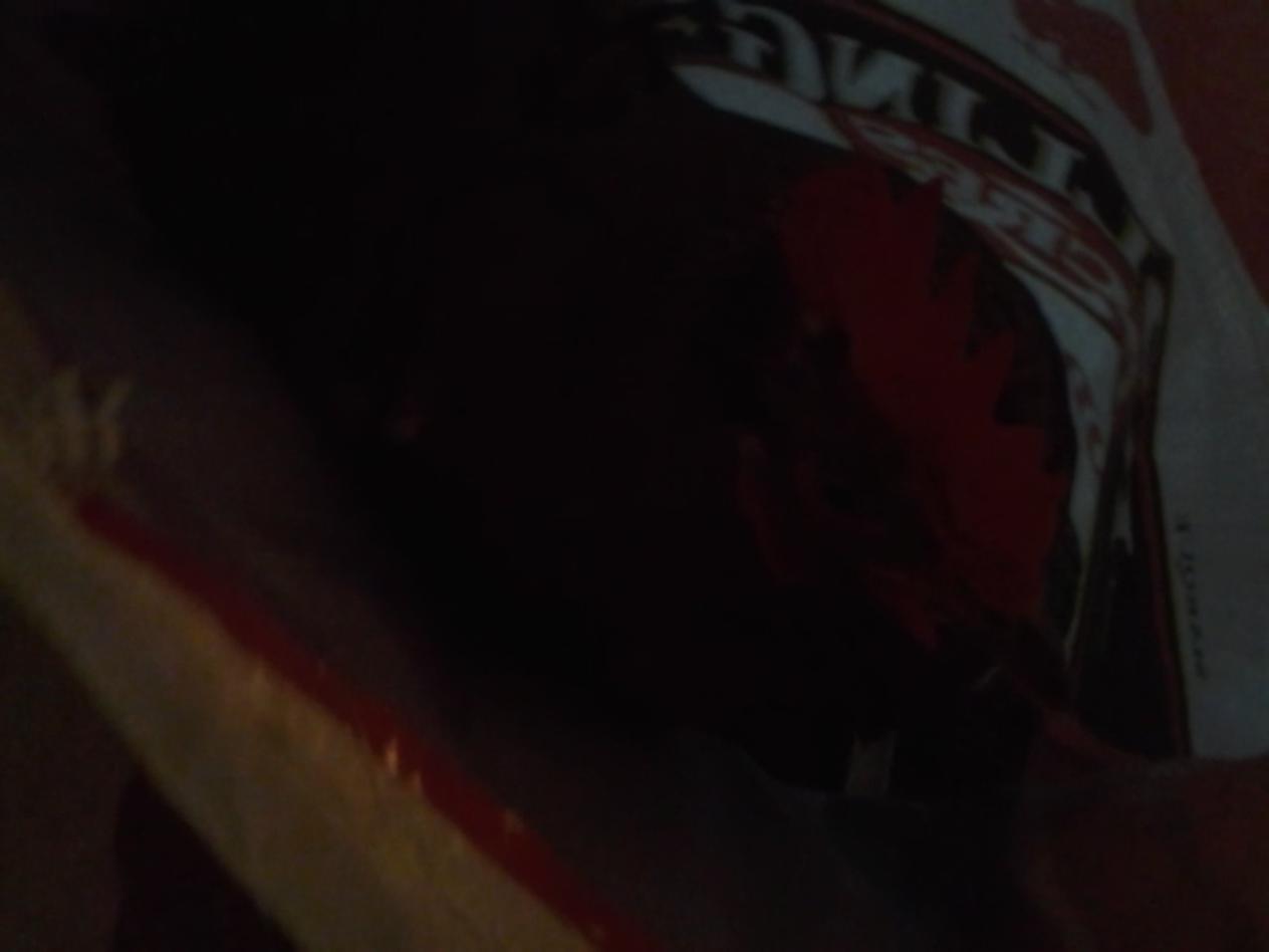 Koki snacking in her chicken feed bag!