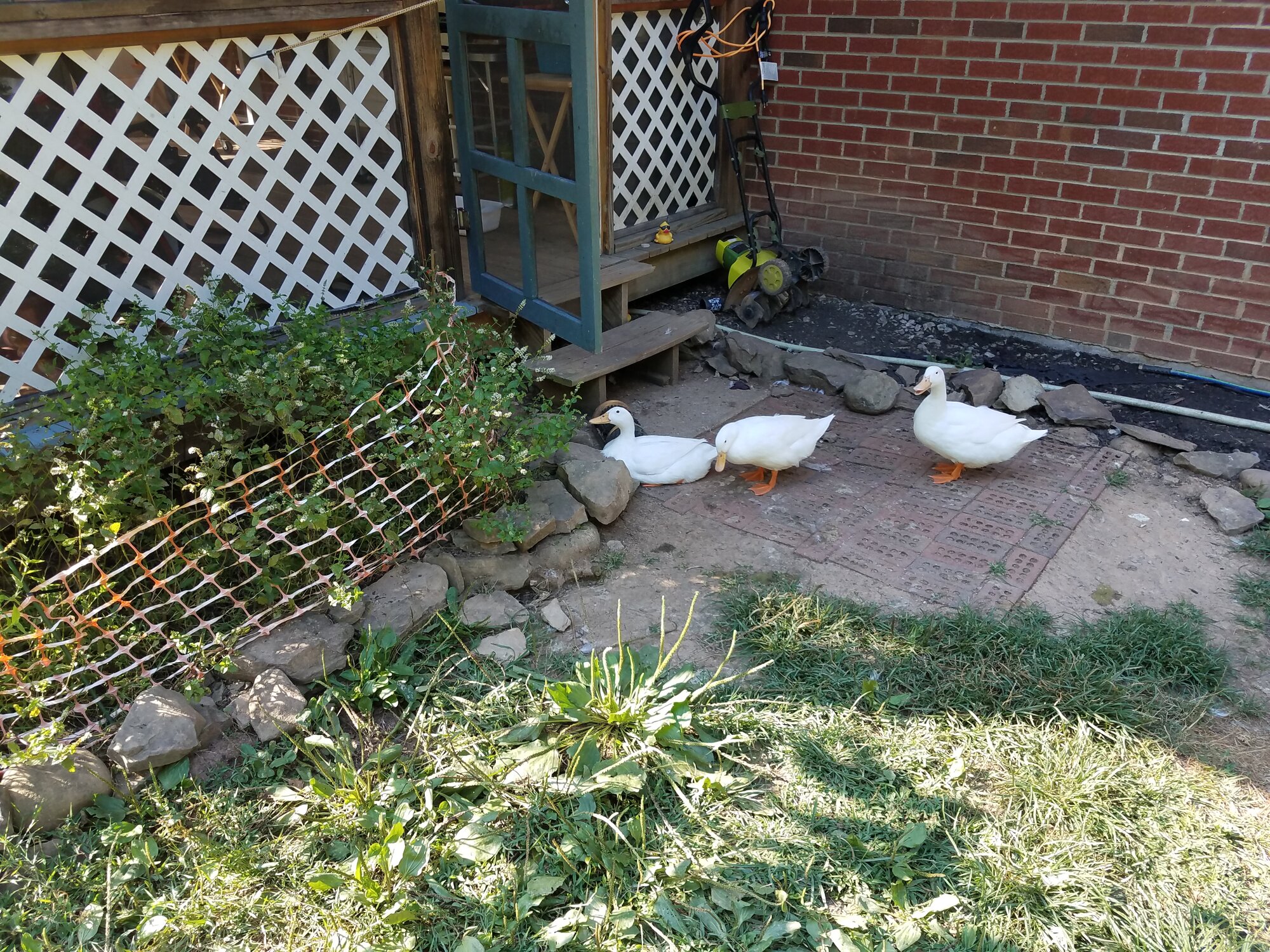 L2R: Blanca, Alba Earthquack