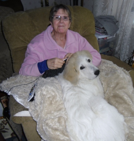 Lacy is not quite 5 months yet in this photo and she weight's 59 pds.  She doesn't care that I maybe knitting.  To her, she's my lap dog and the rest she just deals with it lol!  I did have to have a hurt leg in this photo so my morning didn't start like it should of!