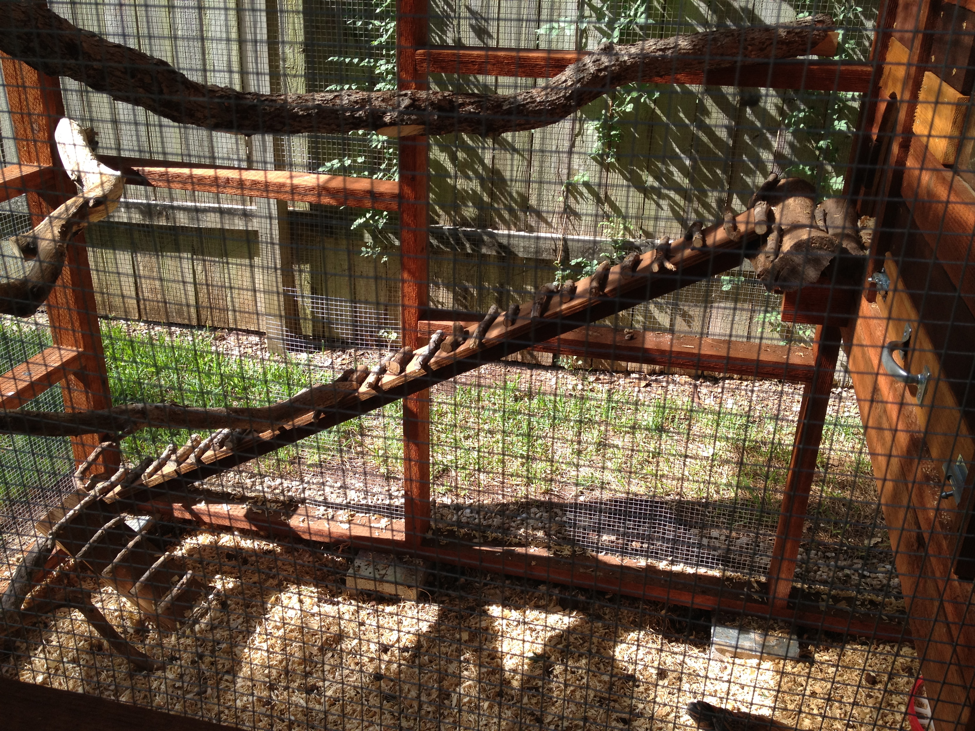 Ladder, landing and perches.